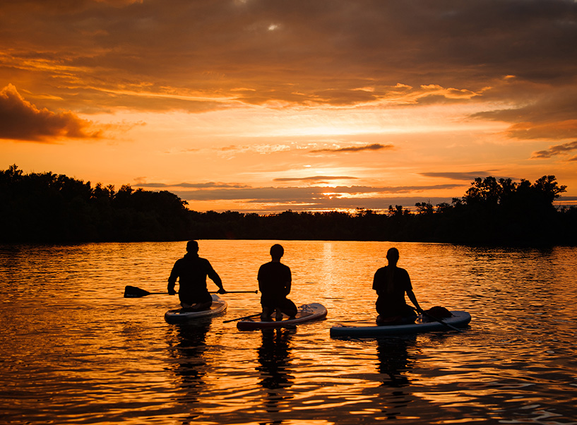 paddleboarders paddling calm waters at night