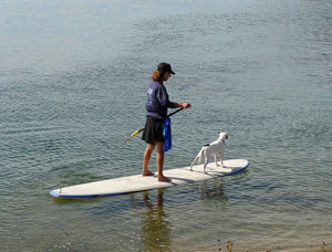sup boarding with dog